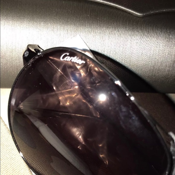 Black Tint Aviator Unisex Sunglasses